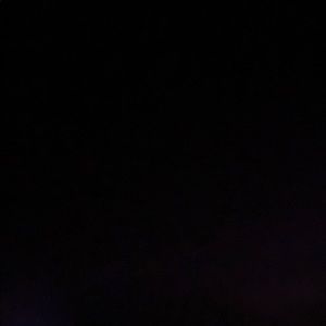 Meet your Posher, Lizzy